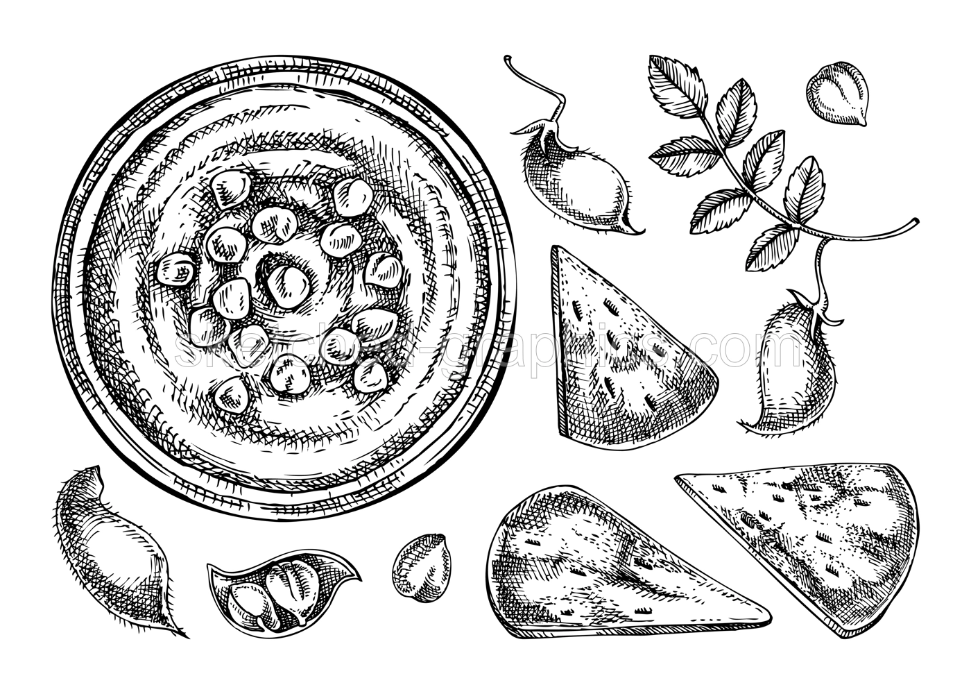 Hummus drawings set. Mediterranean food and ingredients sketches. Vegan food illustration. Hand drawn hummus in plate, pita and chickpeas for menu or packaging design.  Illustration